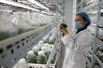 山東濱州 生物技術賦能現代農業，科技引擎助推產業升級